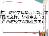 广西财经学院毕业后就业前景怎么样，毕业生去向(广西财经学院就业去向)