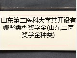 山东第二医科大学共开设有哪些类型奖学金(山东二医奖学金种类)