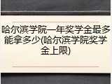 哈尔滨学院一年奖学金最多能拿多少(哈尔滨学院奖学金上限)