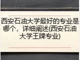 西安石油大学最好的专业是哪个，详细阐述(西安石油大学王牌专业)