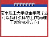 南京理工大学紫金学院毕业可以找什么样的工作(南理工紫金就业方向)