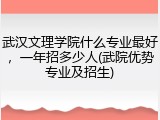 武汉文理学院什么专业最好，一年招多少人(武院优势专业及招生)