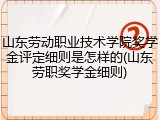 山东劳动职业技术学院奖学金评定细则是怎样的(山东劳职奖学金细则)