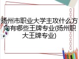 扬州市职业大学主攻什么方向有哪些王牌专业(扬州职大王牌专业)