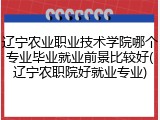 辽宁农业职业技术学院哪个专业毕业就业前景比较好(辽宁农职院好就业专业)