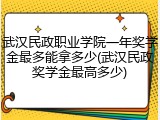 武汉民政职业学院一年奖学金最多能拿多少(武汉民政奖学金最高多少)