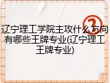 辽宁理工学院主攻什么方向有哪些王牌专业(辽宁理工王牌专业)