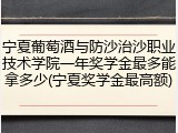 宁夏葡萄酒与防沙治沙职业技术学院一年奖学金最多能拿多少(宁夏奖学金最高额)
