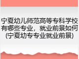 宁夏幼儿师范高等专科学校有哪些专业，就业前景如何(宁夏幼专专业就业前景)