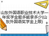 山东外国语职业技术大学一年奖学金最多能拿多少(山东外国语奖学金上限)