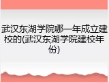 武汉东湖学院哪一年成立建校的(武汉东湖学院建校年份)