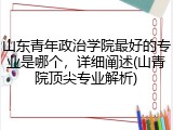山东青年政治学院最好的专业是哪个，详细阐述(山青院顶尖专业解析)