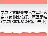 宁夏民族职业技术学院什么专业就业比较好，原因是啥(宁夏民族职院好就业专业)