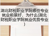 湖北财税职业学院哪些专业就业前景好，为什么(湖北财税职业学院就业优势专业)