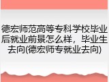 德宏师范高等专科学校毕业后就业前景怎么样，毕业生去向(德宏师专就业去向)