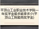 平顶山工业职业技术学院一年奖学金最多能拿多少(平顶山工院最高奖学金)