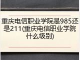 重庆电信职业学院是985还是211(重庆电信职业学院什么级别)