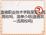 盘锦职业技术学院是双一流高校吗，简单介绍(盘锦双一流高校吗)