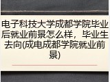 电子科技大学成都学院毕业后就业前景怎么样，毕业生去向(成电成都学院就业前景)