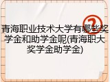 青海职业技术大学有哪些奖学金和助学金呢(青海职大奖学金助学金)