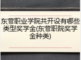 东营职业学院共开设有哪些类型奖学金(东营职院奖学金种类)