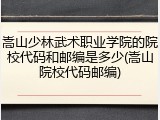 嵩山少林武术职业学院的院校代码和邮编是多少(嵩山院校代码邮编)