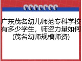 广东茂名幼儿师范专科学校有多少学生，师资力量如何(茂名幼师规模师资)