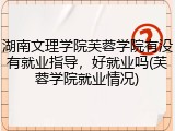 湖南文理学院芙蓉学院有没有就业指导，好就业吗(芙蓉学院就业情况)