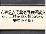 安徽公安职业学院有哪些专业，王牌专业分析(安徽公安专业分析)