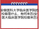 安徽医科大学临床医学院的校徽是什么，有何来历(安医大临床医学院校徽来历)