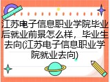 江苏电子信息职业学院毕业后就业前景怎么样，毕业生去向(江苏电子信息职业学院就业去向)