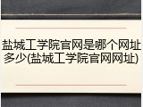 盐城工学院官网是哪个网址多少(盐城工学院官网网址)