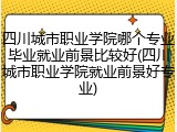 四川城市职业学院哪个专业毕业就业前景比较好(四川城市职业学院就业前景好专业)