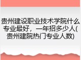 贵州建设职业技术学院什么专业最好，一年招多少人(贵州建院热门专业人数)