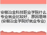 安徽冶金科技职业学院什么专业就业比较好，原因是啥(安徽冶金学院好就业专业)