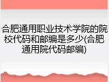 合肥通用职业技术学院的院校代码和邮编是多少(合肥通用院代码邮编)