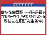 攀枝花攀西职业学院是否有在职研究生,报考条件如何(攀枝花在职研究生条件)