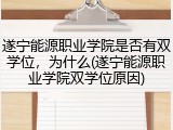 遂宁能源职业学院是否有双学位，为什么(遂宁能源职业学院双学位原因)
