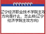 辽宁经济职业技术学院主攻方向是什么，怎么样(辽宁经济学院主攻方向)