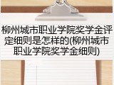 柳州城市职业学院奖学金评定细则是怎样的(柳州城市职业学院奖学金细则)