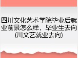 四川文化艺术学院毕业后就业前景怎么样，毕业生去向(川文艺就业去向)