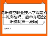 沈阳航空职业技术学院是双一流高校吗，简单介绍(沈阳航院双一流吗)