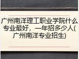 广州南洋理工职业学院什么专业最好，一年招多少人(广州南洋专业招生)