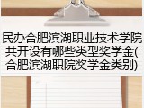 民办合肥滨湖职业技术学院共开设有哪些类型奖学金(合肥滨湖职院奖学金类别)