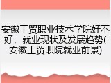 安徽工贸职业技术学院好不好，就业现状及发展趋势(安徽工贸职院就业前景)