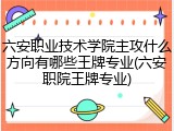 六安职业技术学院主攻什么方向有哪些王牌专业(六安职院王牌专业)