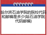哈尔滨石油学院的院校代码和邮编是多少(哈石油学院代码邮编)
