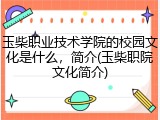 玉柴职业技术学院的校园文化是什么，简介(玉柴职院文化简介)