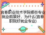 宜春职业技术学院哪些专业就业前景好，为什么(宜春职院好就业专业)