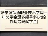 哈尔滨铁道职业技术学院一年奖学金最多能拿多少(哈铁院最高奖学金)